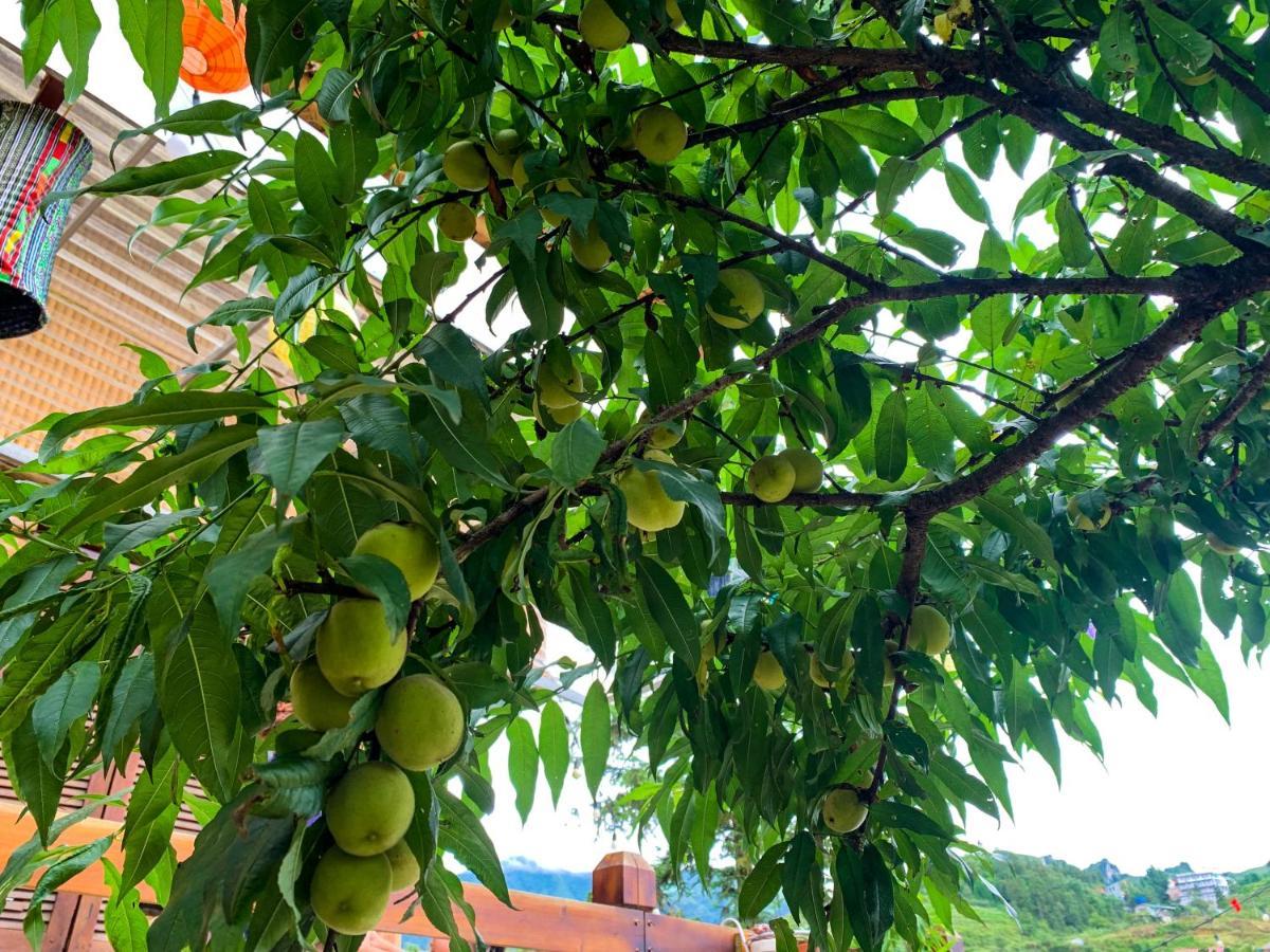 Homestay So 91-Suoi Ho 萨帕 外观 照片
